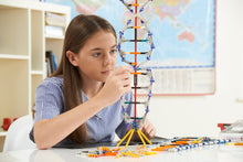 Load image into Gallery viewer, DNA Replication & Transcription