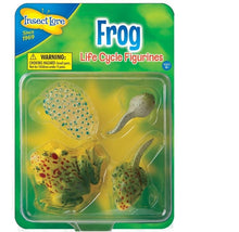 Load image into Gallery viewer, Life Cycle Stages - Frog