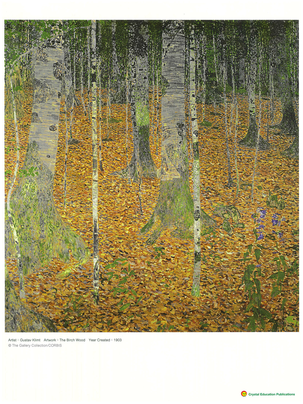 The Birch Wood (Gustav Klimt, 1903)  白樺木